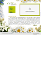 Mobile Screenshot of cityflowers.in